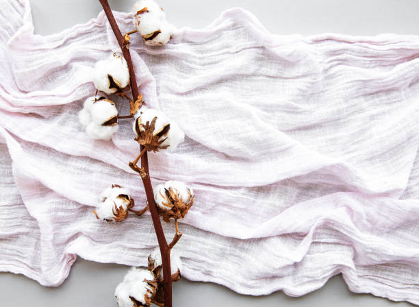 istock Cotton flowers ans scarf 1196794707