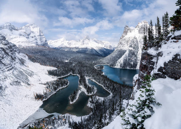 altopiano di opabin con montagne rocciose canadesi e lago in una forte bufera di neve al parco nazionale di yoho, canada - alpine upland foto e immagini stock