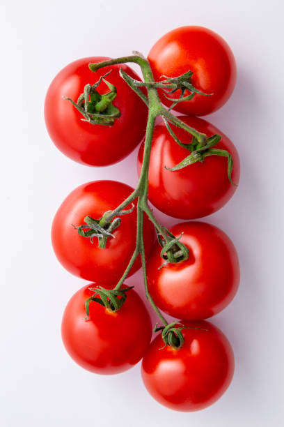 istock A group of red tomatos on white background 1196803284