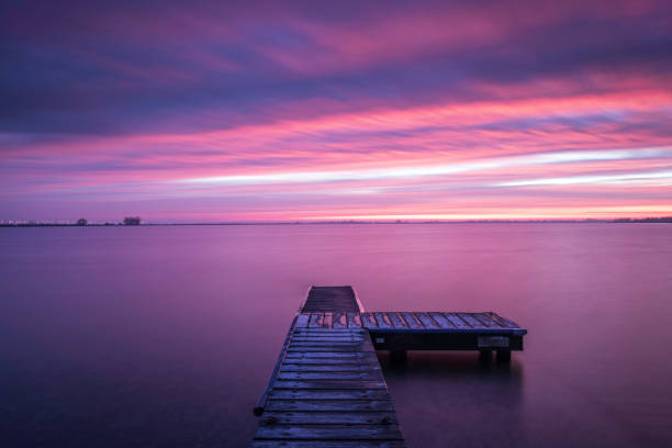 istock Beautiful purple colors 1196804802