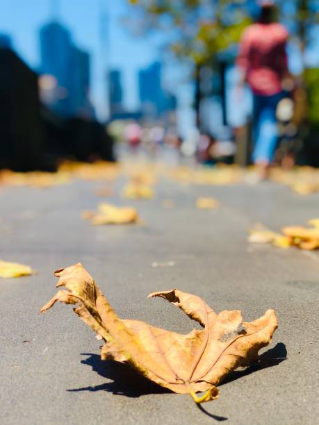 istock Walk in the city 1196808720