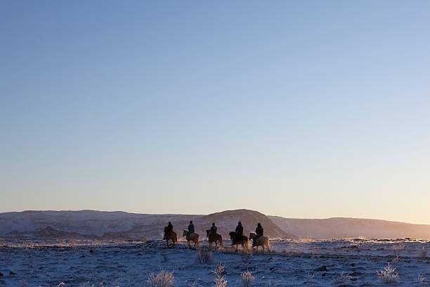 Snaefellsjokull, Iceland - September 14, 2014: Three riders gallop their Icelandic ponies along a rural road, Western Iceland.