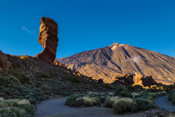 istock Landscape of El Teide 1196811579