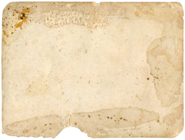 Old Grungy Photo Paper Background