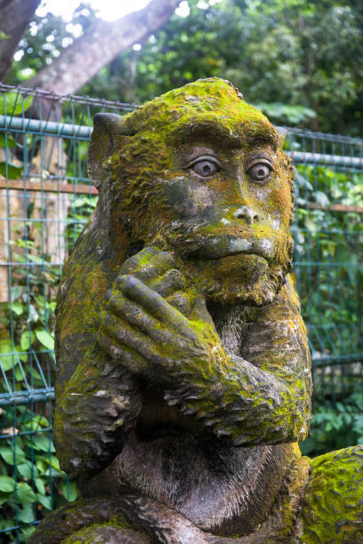 istock Monkey statue at Ubud Monkey Forest sanctuary at Bali, Indonesia 1196813405