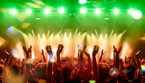 istock Music festival crowd 1196815185
