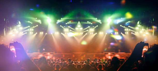 istock Music festival crowd 1196815186
