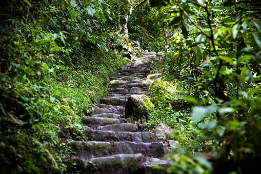 This 25 October 2022 daytime photo shows a boardwalk at Maungawhau Mount Eden in Tāmaki Makaurau Auckland. The steps appear next to a worn footpath along the rim of the ancient volcano in Aotearoa New Zealand. The boardwalk is part of an ongoing project to protect the historically significant land where a pā or fortified village once stood.