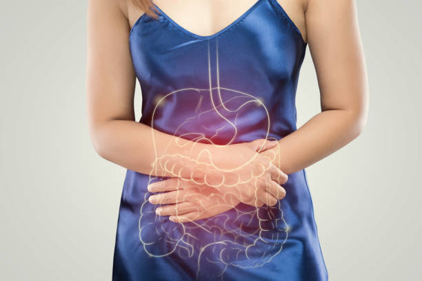 The photo of stomach and large intestine is on the woman's body against gray background The photo of stomach and large intestine is on the woman's body against gray background, People With Stomach ache problem concept, Female anatomy digestive illness stock pictures, royalty-free photos & images