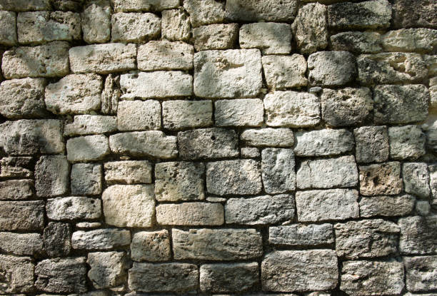 istock Ancient stone wall background at Kohunlich Maya Ruins 1196818838