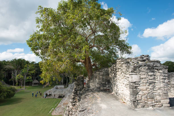 istock Kohunlich Maya Ruins under blue and cloudy sky 1196819457