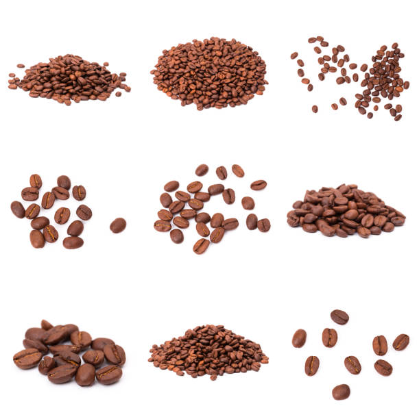 istock set of roasted coffee beans. Isolated on a white background. 1196820523