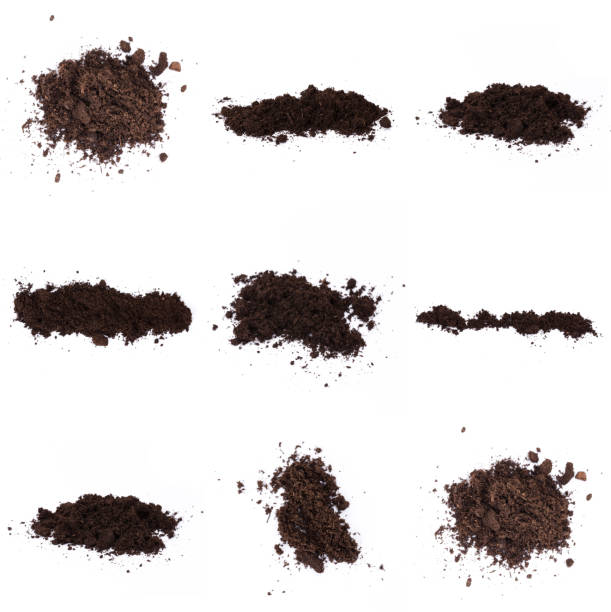 istock Patch of soil or mud isolated on white background 1196820548