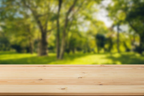 istock Wooden board empty table in front of a blurred background. Perspective brown wood with a blurry background of nature or park - can be used to showcase or assemble your products. Mock up 1196820604