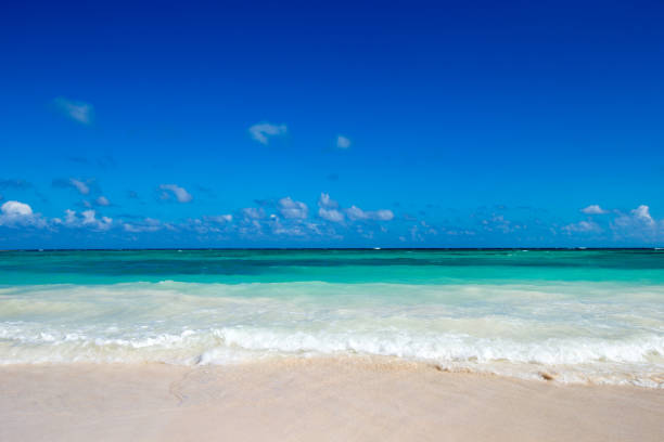 istock tropical sea 1196820750