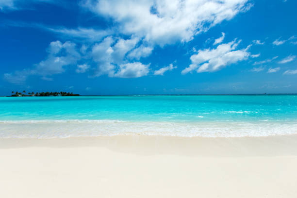 istock beach and tropical sea . nature background 1196820801