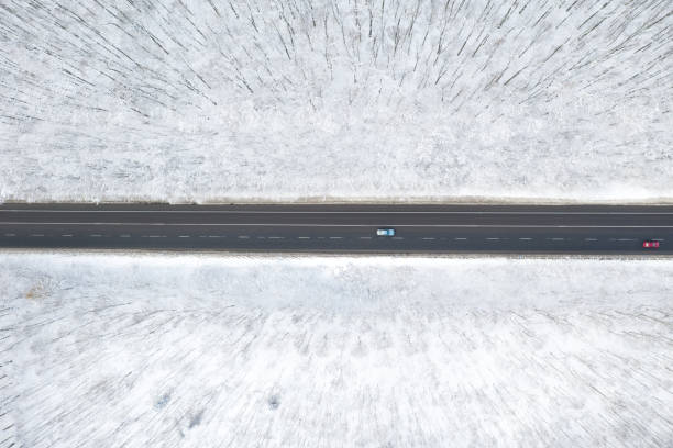 istock beautiful winter forest and the road 1196820828