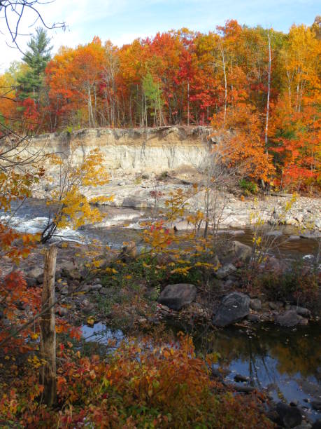 istock Autumn Color at the River 1196822553