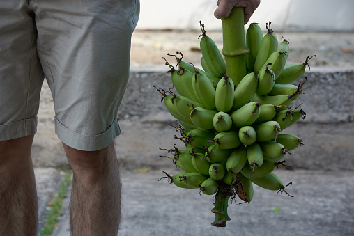 A man carrying a bunch of unriped green banana
