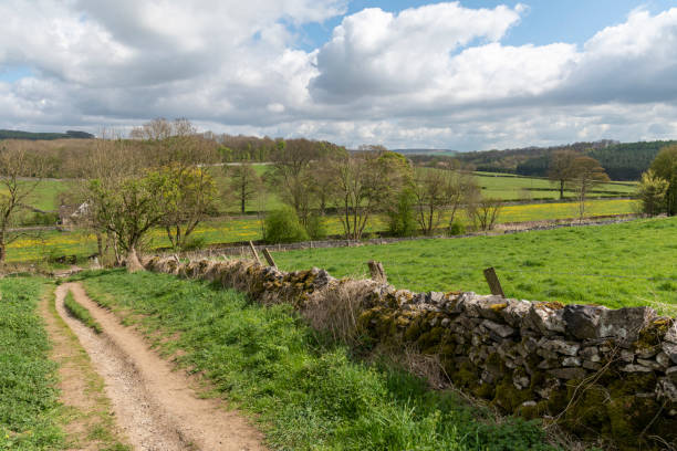 istock Bakewell English countryside 1196828174