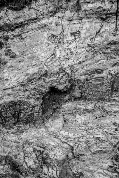 cross-section of the rock