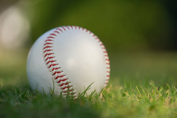 istock Baseball ball on the green lawn 1196831751