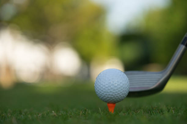 istock Golf ball on green grass ready to be struck on golf course background 1196831794