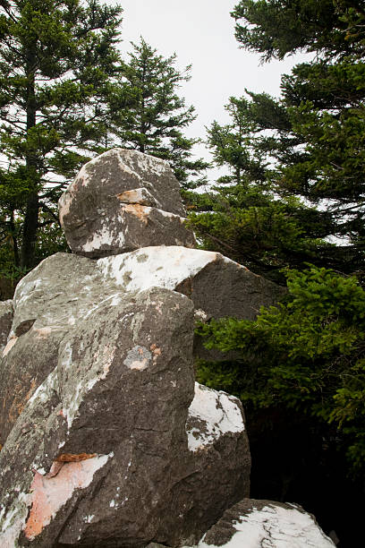 shinning rock wildnisgebiet, pisgah nf, nc - south highlands stock-fotos und bilder