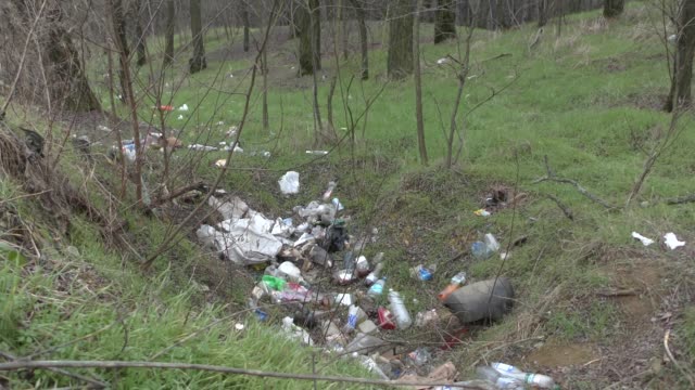 Forest pollution, plastic garbage in the pinewood. Dump plastic debris in pine tree forest. Dump garbage in woods of Ukraine. Environmental plastic pollution is ecological problem.