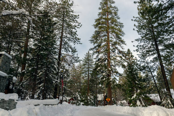 istock Winter wonderland in mountain community. 1196834790