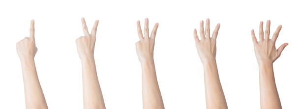 istock Caucasian female hand gesture counting from one to five isolated on white background. 1196835737