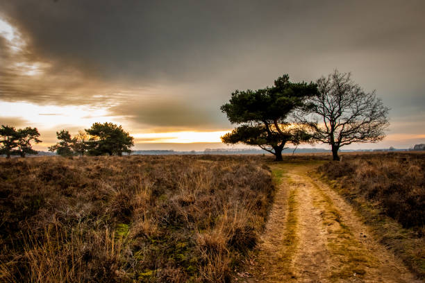 istock Sunset and a dramatic sky at the nature reserve 