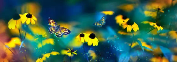 Photo of Tropical butterflies and yellow bright summer flowers on a background of colorful  foliage in a fairy garden. Macro artistic image. Banner format.