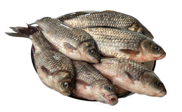 istock A few fresh carps on a plate. 1196839176