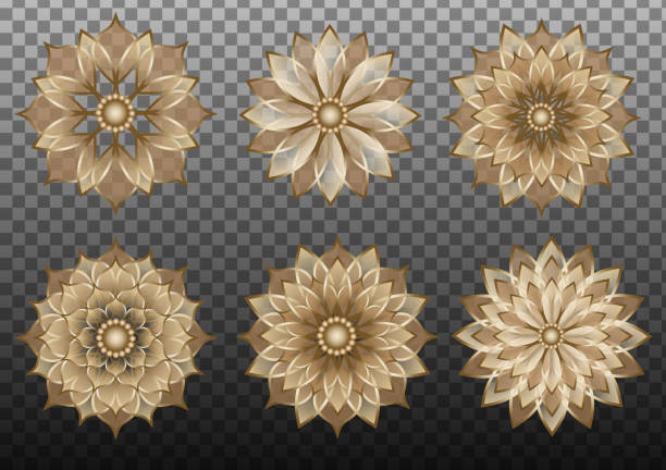 istock set gold geometric transparent flowers for chinese new year backgrounds and decorations 1196850068