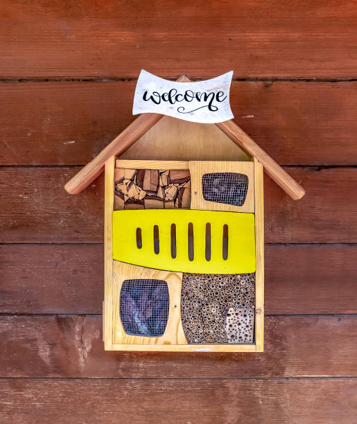 Insect hotel against old wooden wall