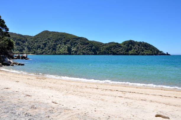 istock Sunny ocean coastline in Abel Tasman National Park 1196855562