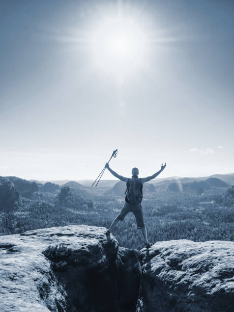 istock Man hiker raised arm with stick. Happy tourist guide on peak 1196857510