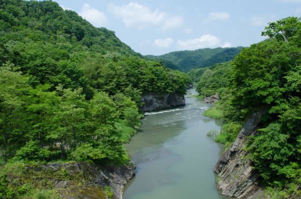 istock Scenery of Takinoue Park 1196858176