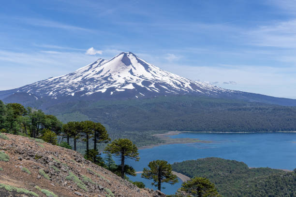 istock Elevated view of Llaima Volcano in Conguillio National Park 1196860379