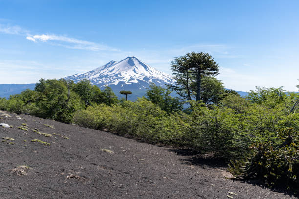 Elevated view of Llaima Volcano and Conguillio Lake inside Conguillio National Park in Araucania region, southern Chile