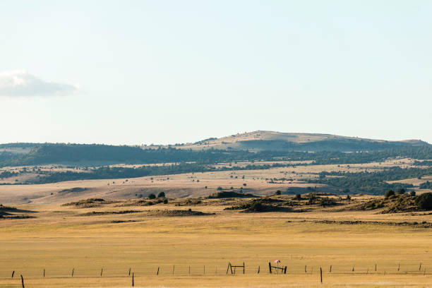 istock Farmland in New Mexico 1196870208