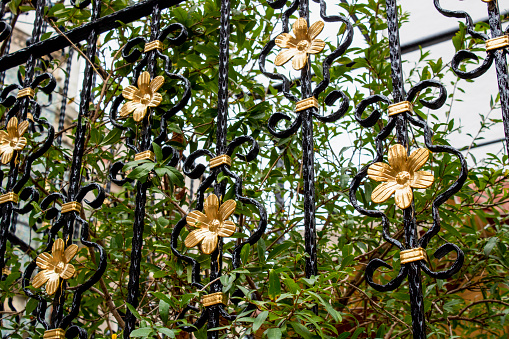 Twisted iron fences painted black. There's a golden flower pattern in the middle. There are trees behind the fence. Photographed in cloudy weather.