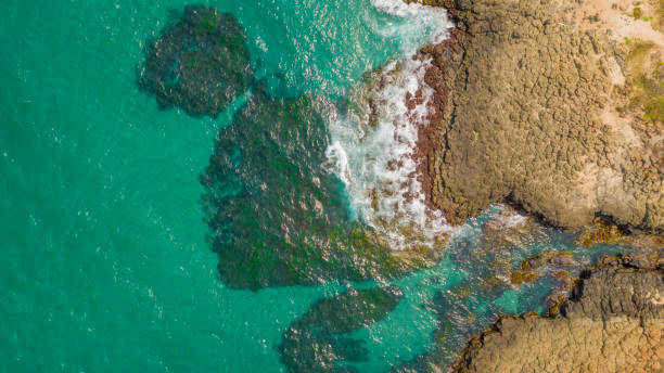 istock Looking Down From Drone Aerial View Of The Coastline 1196878769