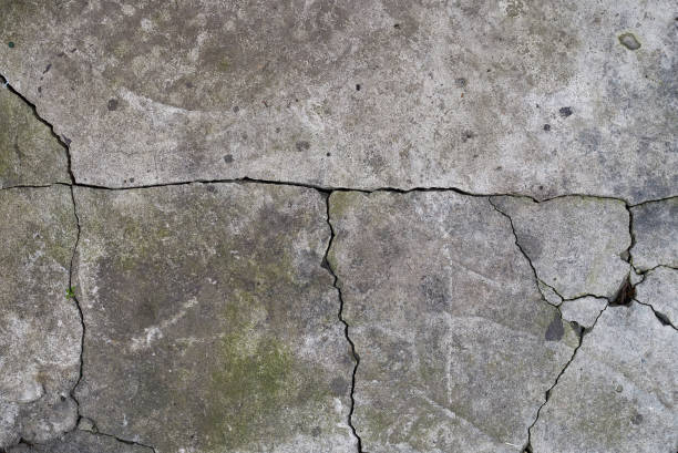 istock texture of gray cracked cement, element for the designer 1196884036
