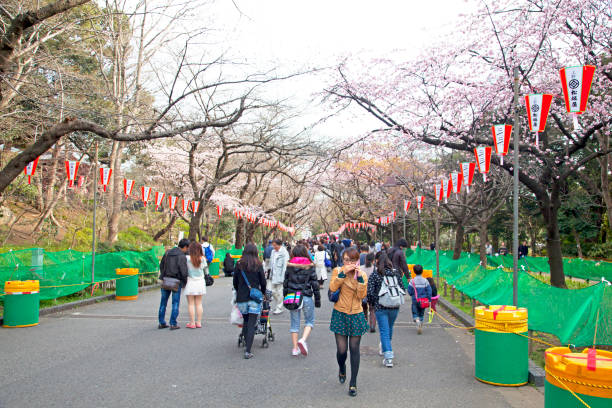 Tokyo, Japan on 30th March 2012. People walking through an avenue of cherry blossom trees in Ueno Park in Tokyo. The sakura flowers are beginning to bloom.