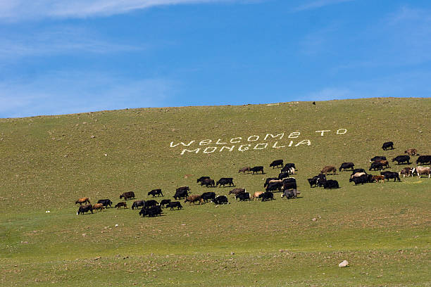 Welcome to Mongolia stock photo
