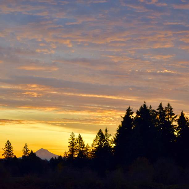 istock Sunrise behind Mount Hood 2 1196897237
