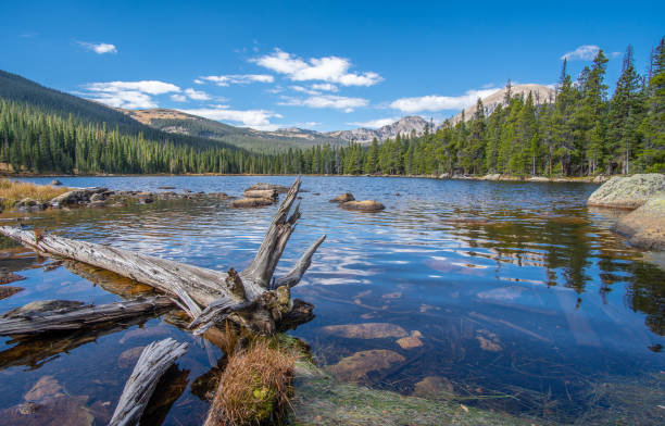 View of Finch Lake and Rocky Mountains in Background Finch Lake Trail in the Rocky Mountain National Park, USA colorado rocky mountain national park lake mountain stock pictures, royalty-free photos & images