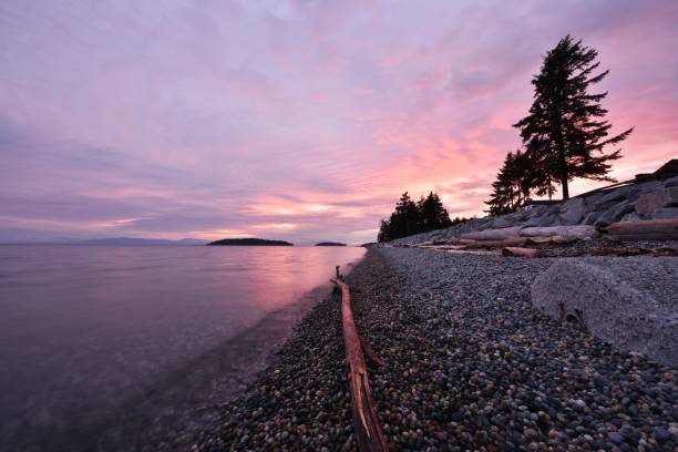Sechelt Beach Winter Sunset, Sunshine Coast, BC stock photo